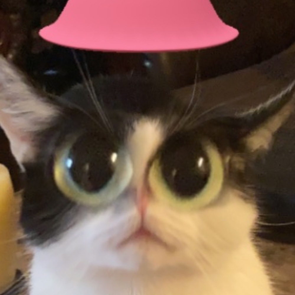 Meet your Posher, Leslie